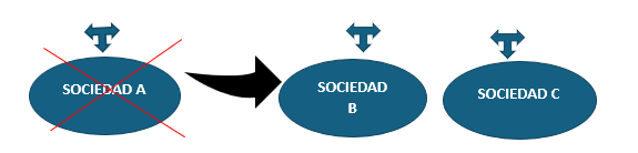 escisión total no subjetiva