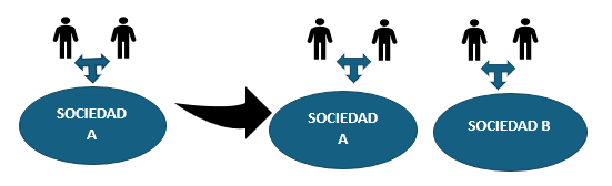 escisión parcial